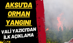 YANGINDA 1.8 HEKTAR ALAN ZARAR GÖRDÜ