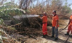 Sazlık yangınına havadan ve karadan hızlı müdahale