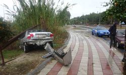 Refüjdeki palmiyeye çarpıp yolun karşısındaki portakal bahçesine daldı