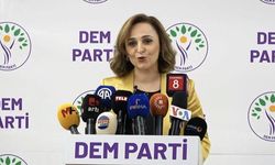 Dem Parti 7 ilde aday çıkaracak...İşte o iller...