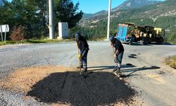 Antalya Büyükşehir ekiplerinden Alanya kırsalında yoğun mesai