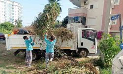 Alanya Belediyesi bayram boyunca 5 bin ton atık topladı