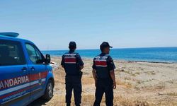 Alanya’da  caretta carettaların yuvalanma bölgeleri kontrol edildi