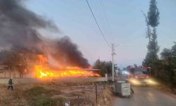 Koli karton fabrikasında korkutan yangın