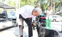 Başkan Kocagöz’den ’Köpek yakıldı’ iddialarına cevap