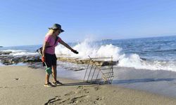 Caretta yavruları denize ulaşmaya çalışırken plastik bardakların içinde telef oluyor