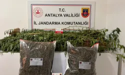 Alanya'da uyuşturucuya geçit yok