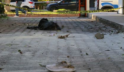 Pınar Zorlu davasında yürek dağlayan ifade