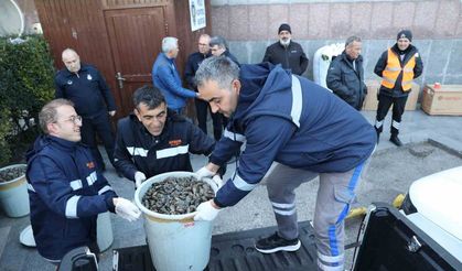 Antalya Otogarı'nda 300 kilogram midyeye el konuldu