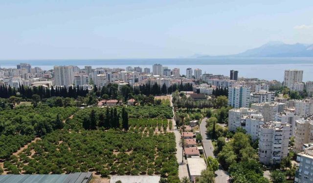 Antalya 19 yılda 100 bin futbol sahası büyüklüğünde tarım alanını kaybetti