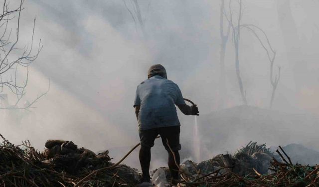 Antalya’da çıkan yangın seraları ve ormanlık alanı etkiledi