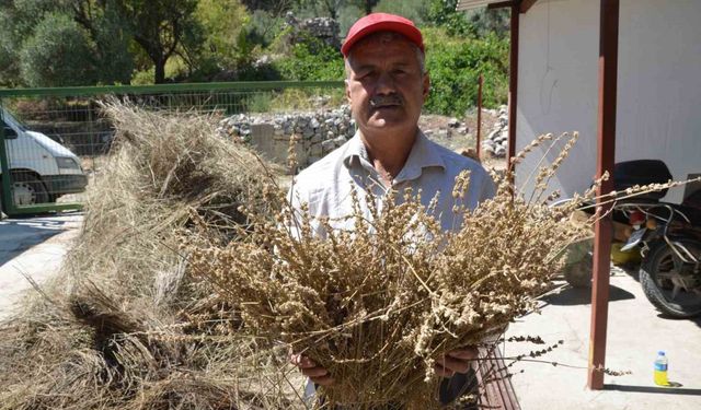 Torosların şifa dağıtan adamı