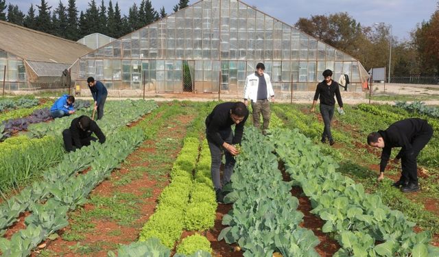 Türkiye’nin en çok tercih edilen Ziraat Fakültesi AÜ’den