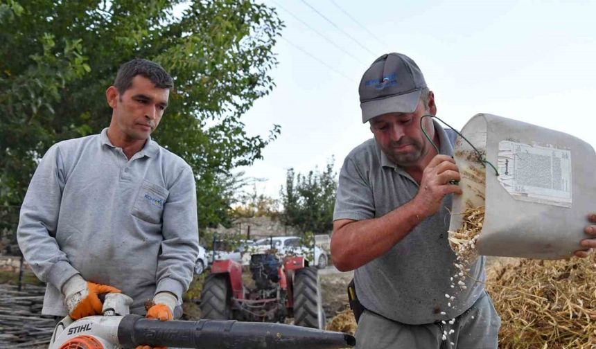 Yayladaki şenlikler Yarbaşçandır Yayla Şenliği ile devam ediyor