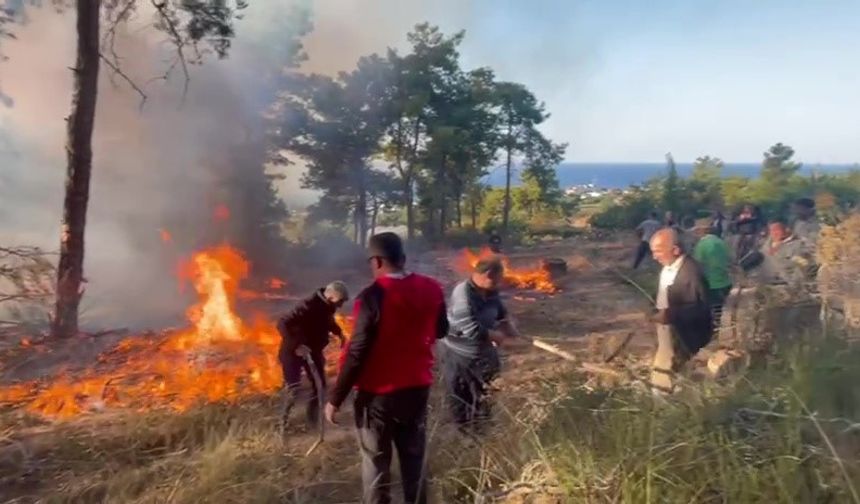 Manavgat'ta hava aracı ormanlık alana düşüp infilak etti