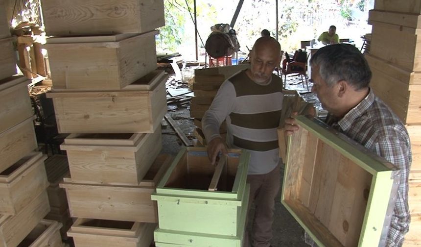 Türkiye’nin arı kovanları Alanya’dan